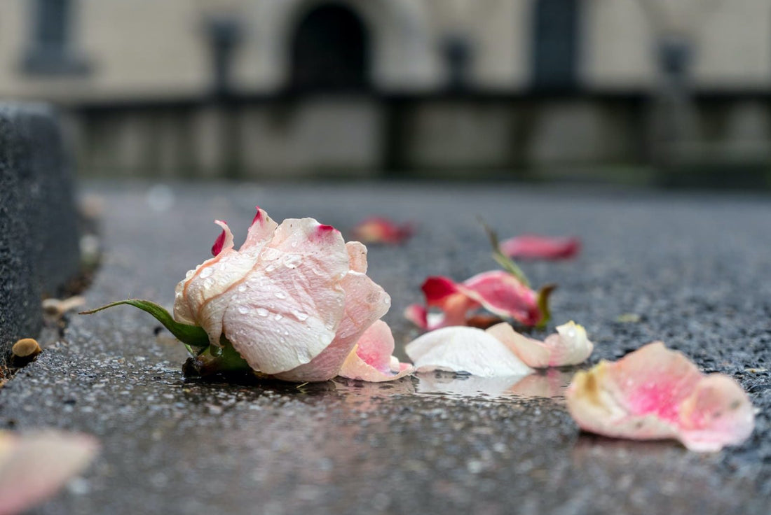 Nebēdziet no sērām